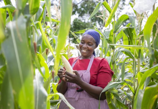 agri-business